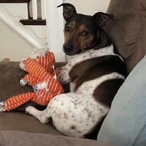 Fundraising Page: Lucky Lavelle